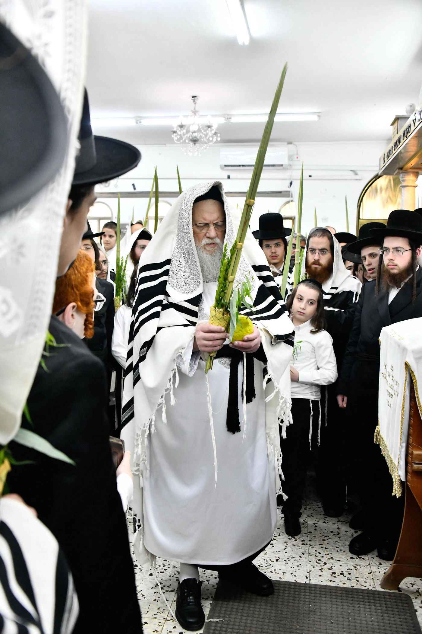 הושענא רבא בחצה"ק מודז'יץ