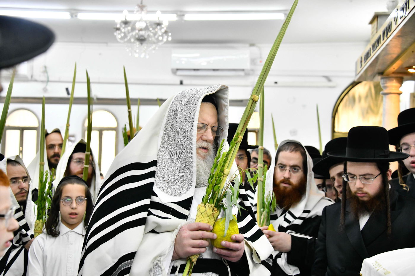 הושענא רבא בחצה"ק מודז'יץ