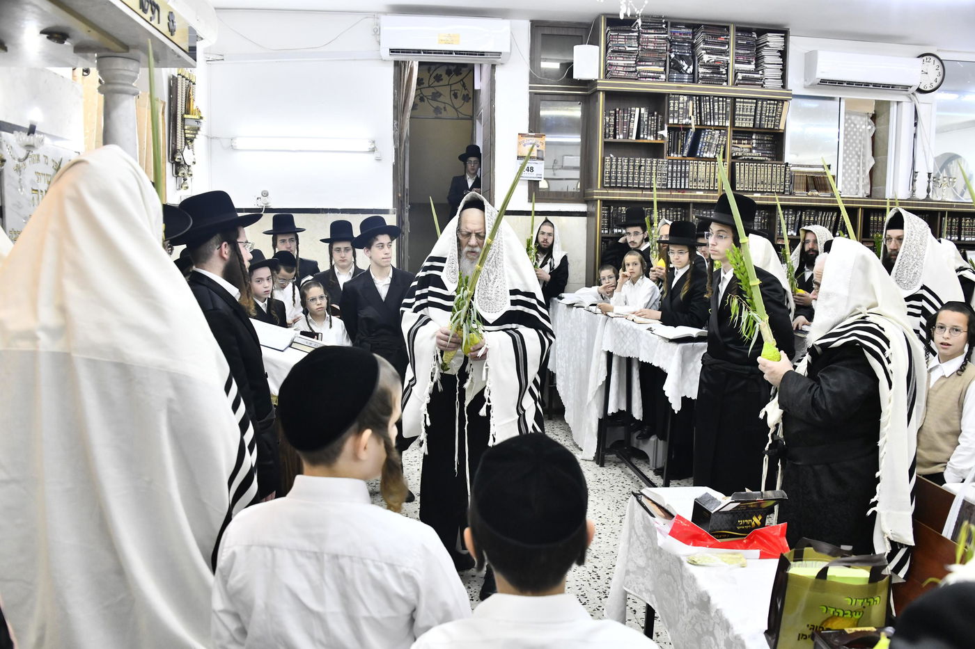 סוכות בחצה"ק מודז'יץ