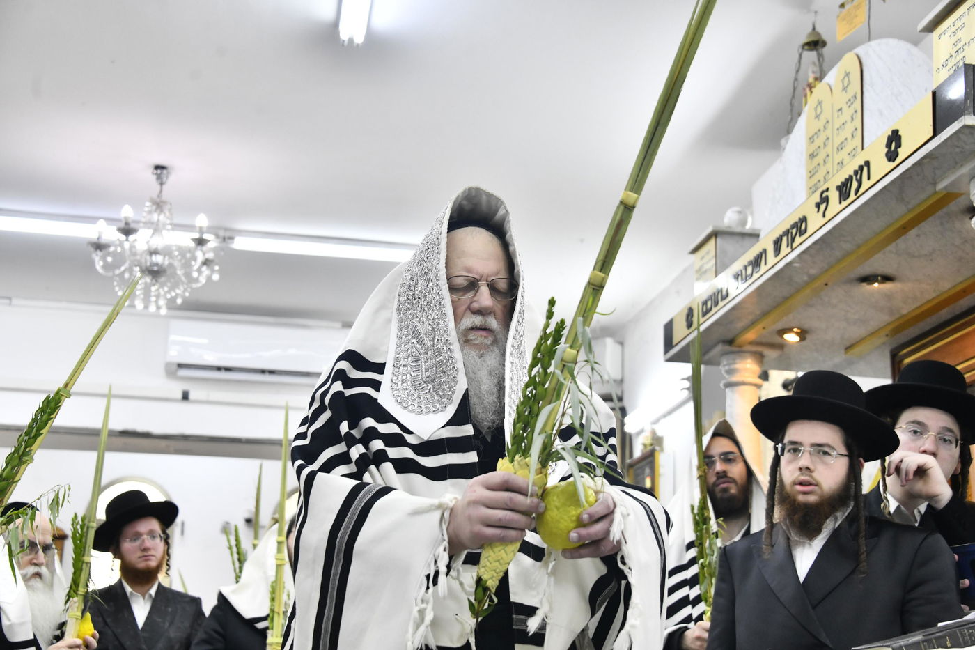 סוכות בחצה"ק מודז'יץ