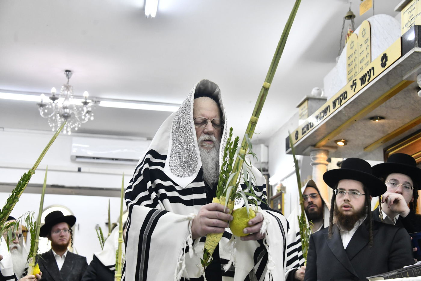 סוכות בחצה"ק מודז'יץ