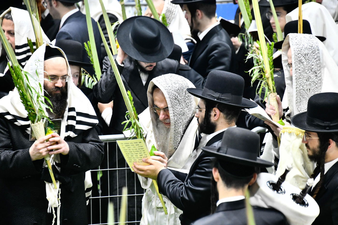 הושענא רבה בחצה"ק אלכסנדר