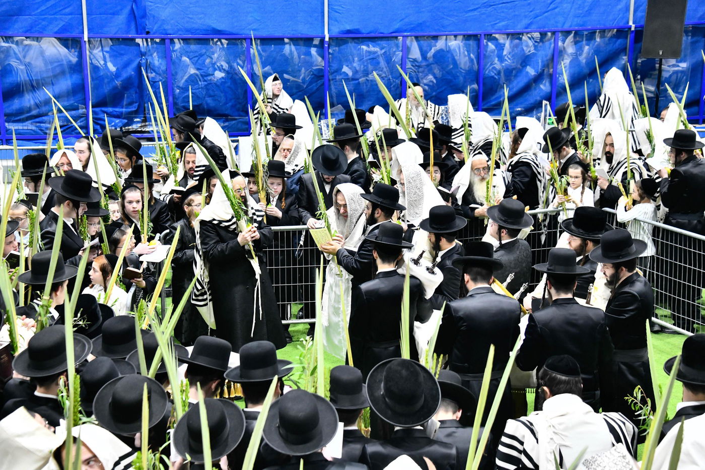 הושענא רבה בחצה"ק אלכסנדר