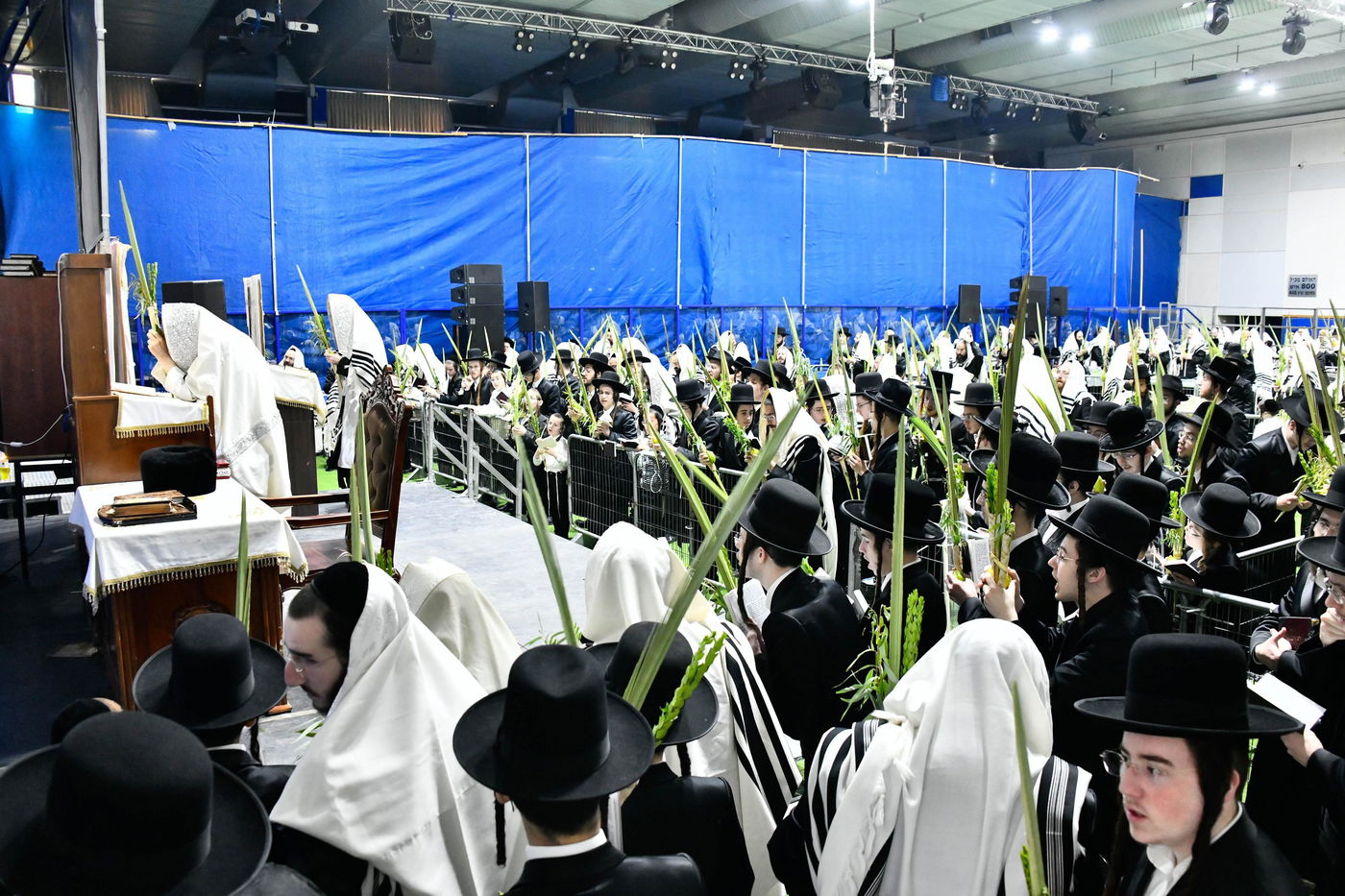 הושענא רבה בחצה"ק אלכסנדר