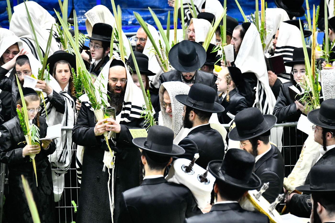 הושענא רבה בחצה"ק אלכסנדר