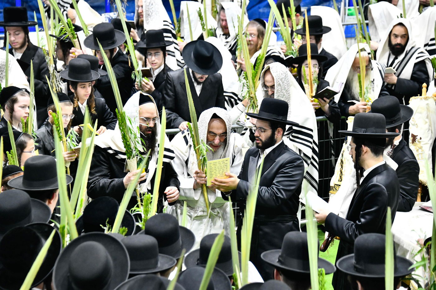 הושענא רבה בחצה"ק אלכסנדר