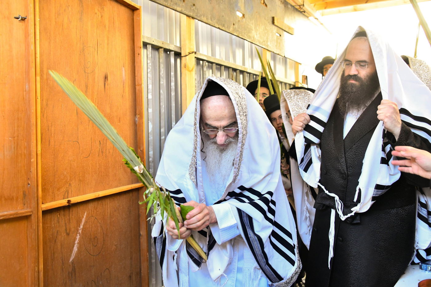 הושענא רבה בחצה"ק אלכסנדר