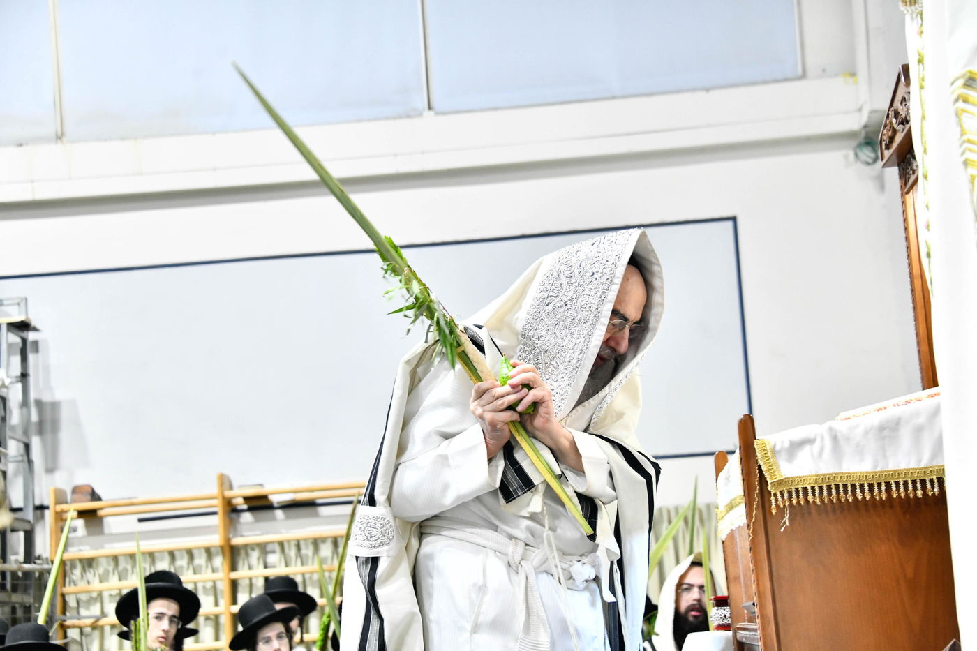 הושענא רבה בחצה"ק אלכסנדר