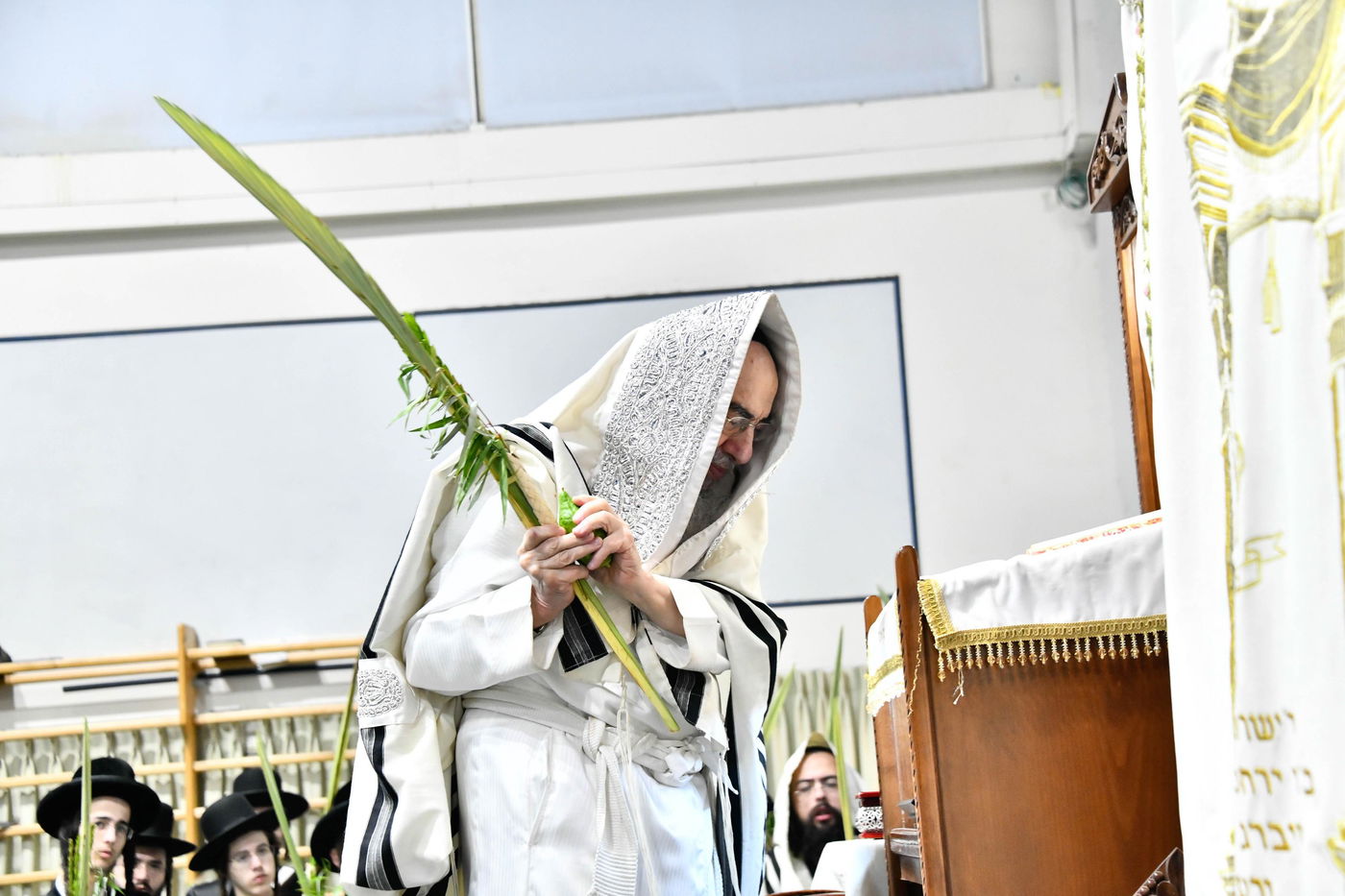 הושענא רבה בחצה"ק אלכסנדר