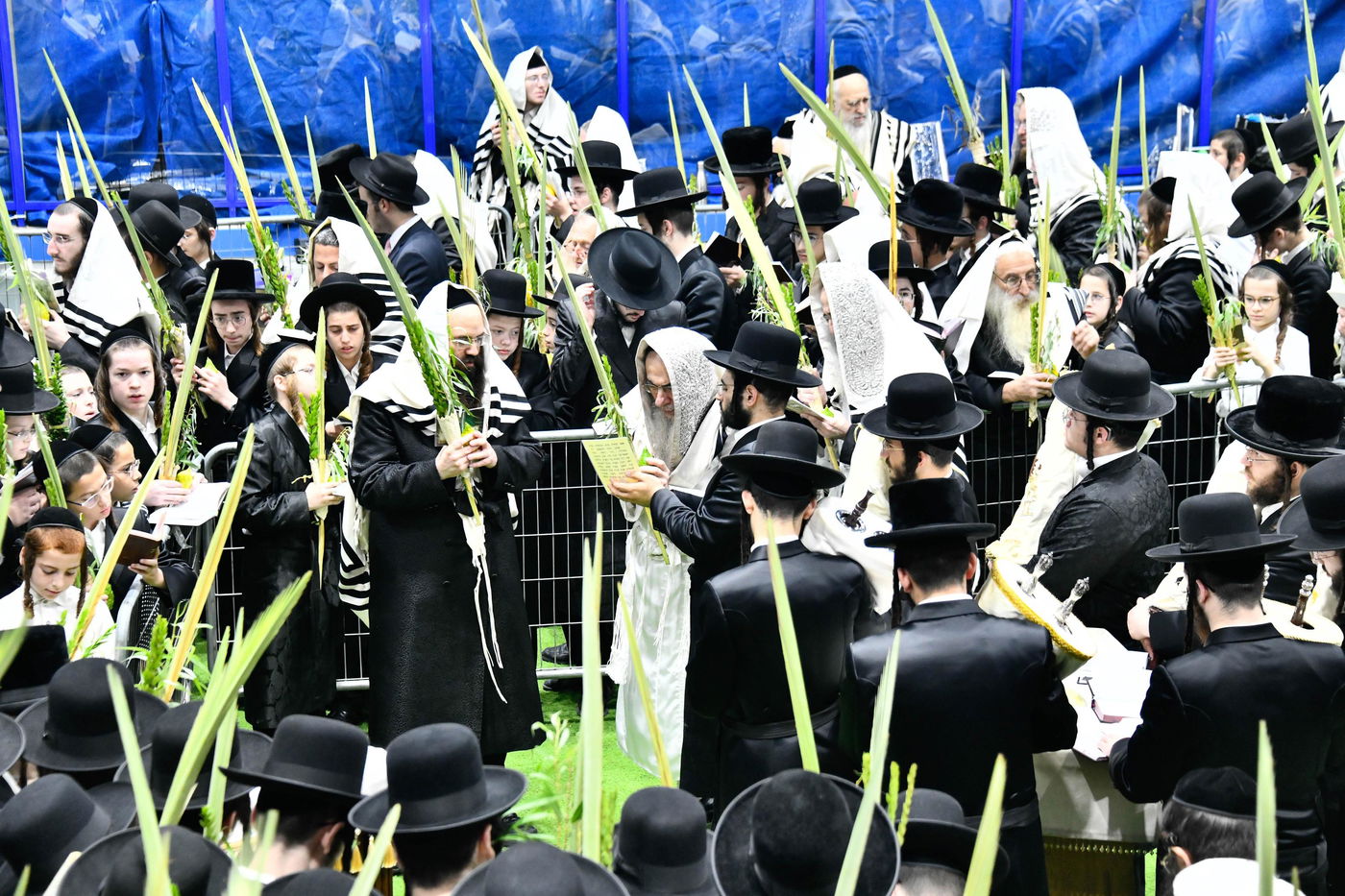 הושענא רבה בחצה"ק אלכסנדר