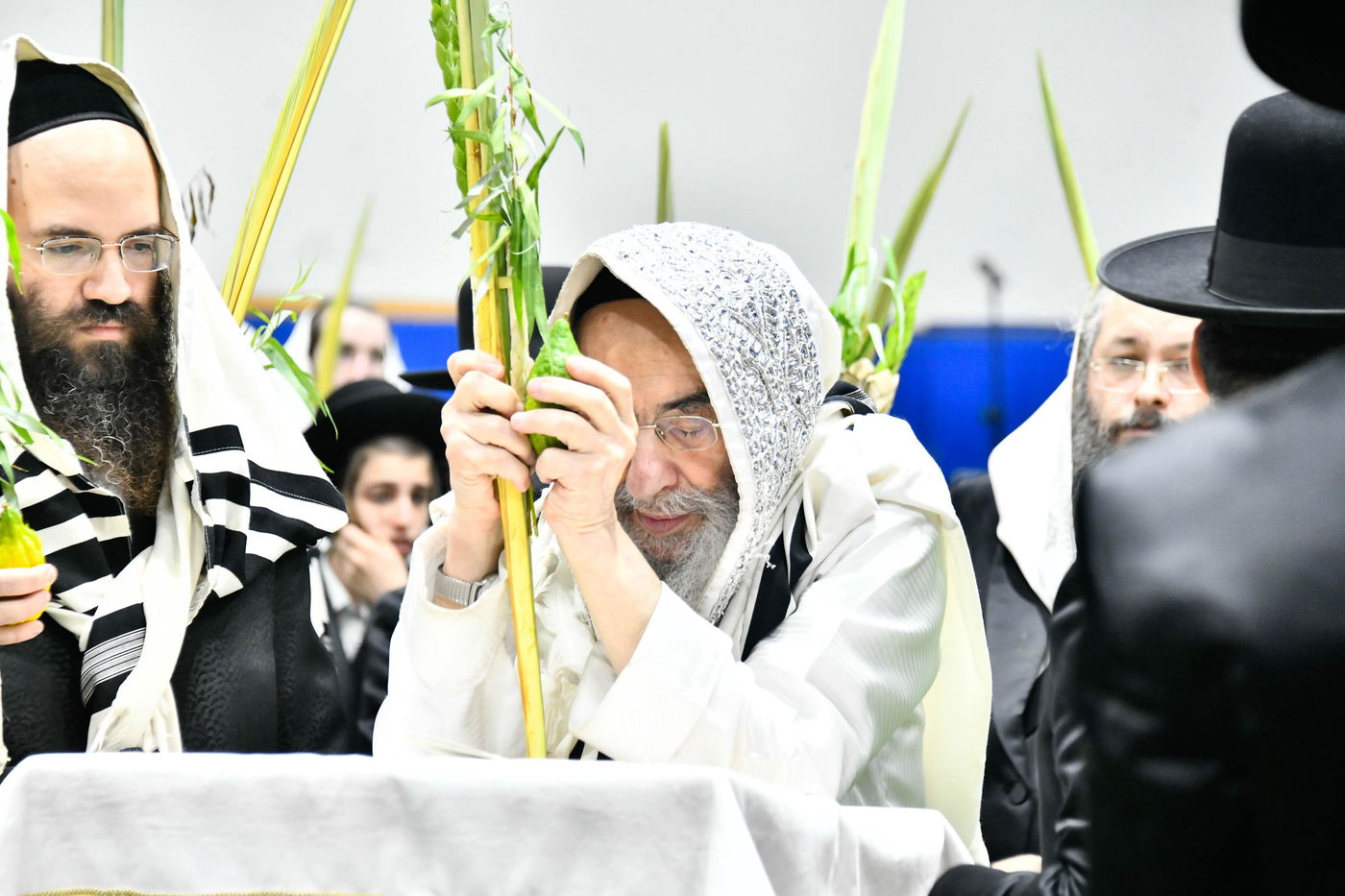 הושענא רבה בחצה"ק אלכסנדר