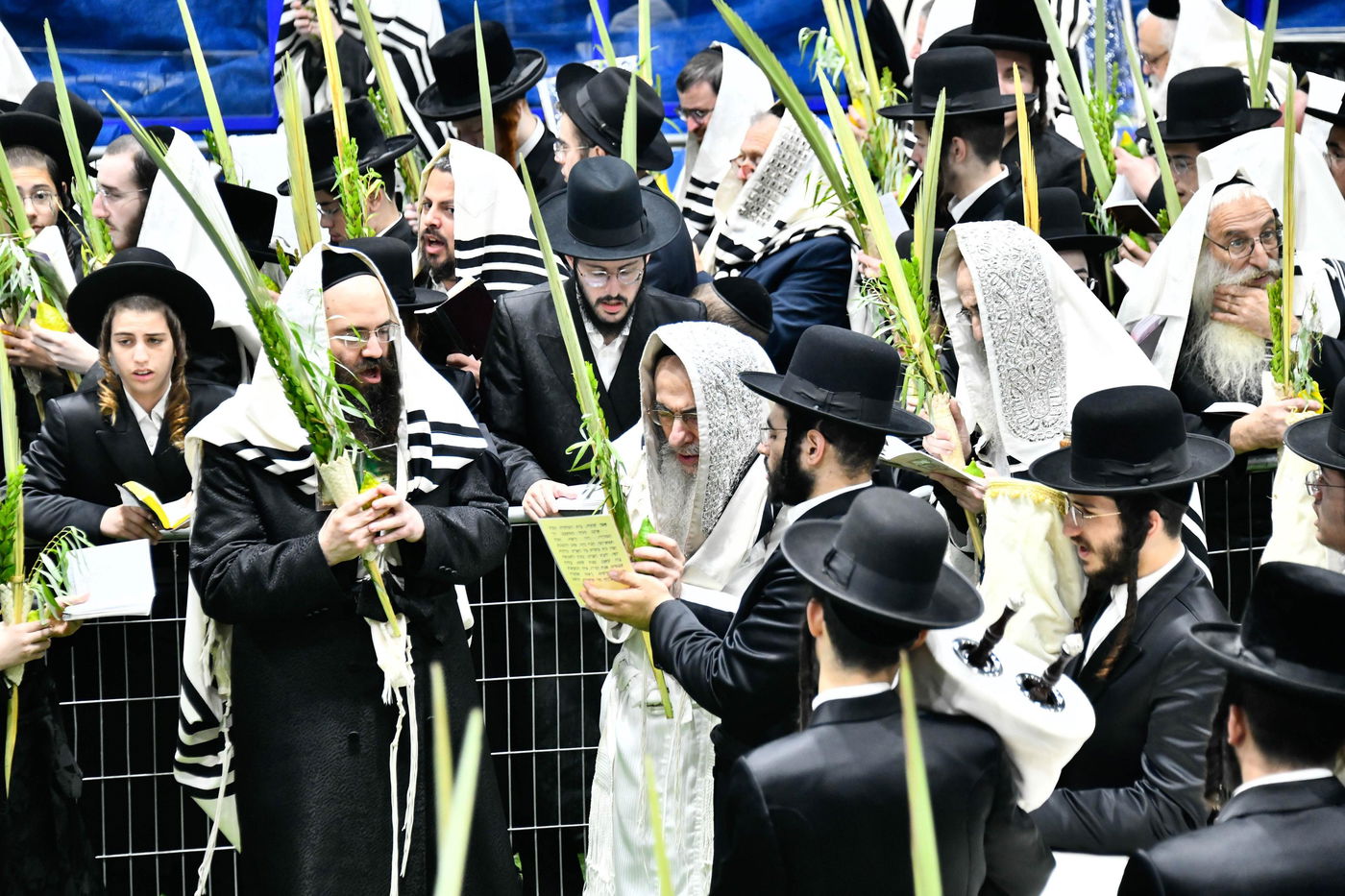 הושענא רבה בחצה"ק אלכסנדר