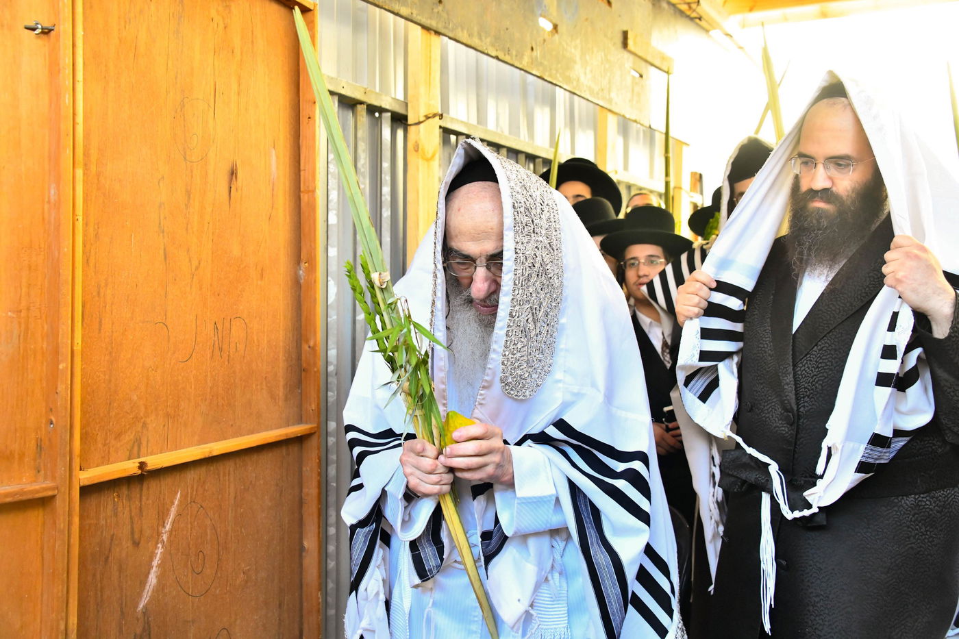 הושענא רבה בחצה"ק אלכסנדר
