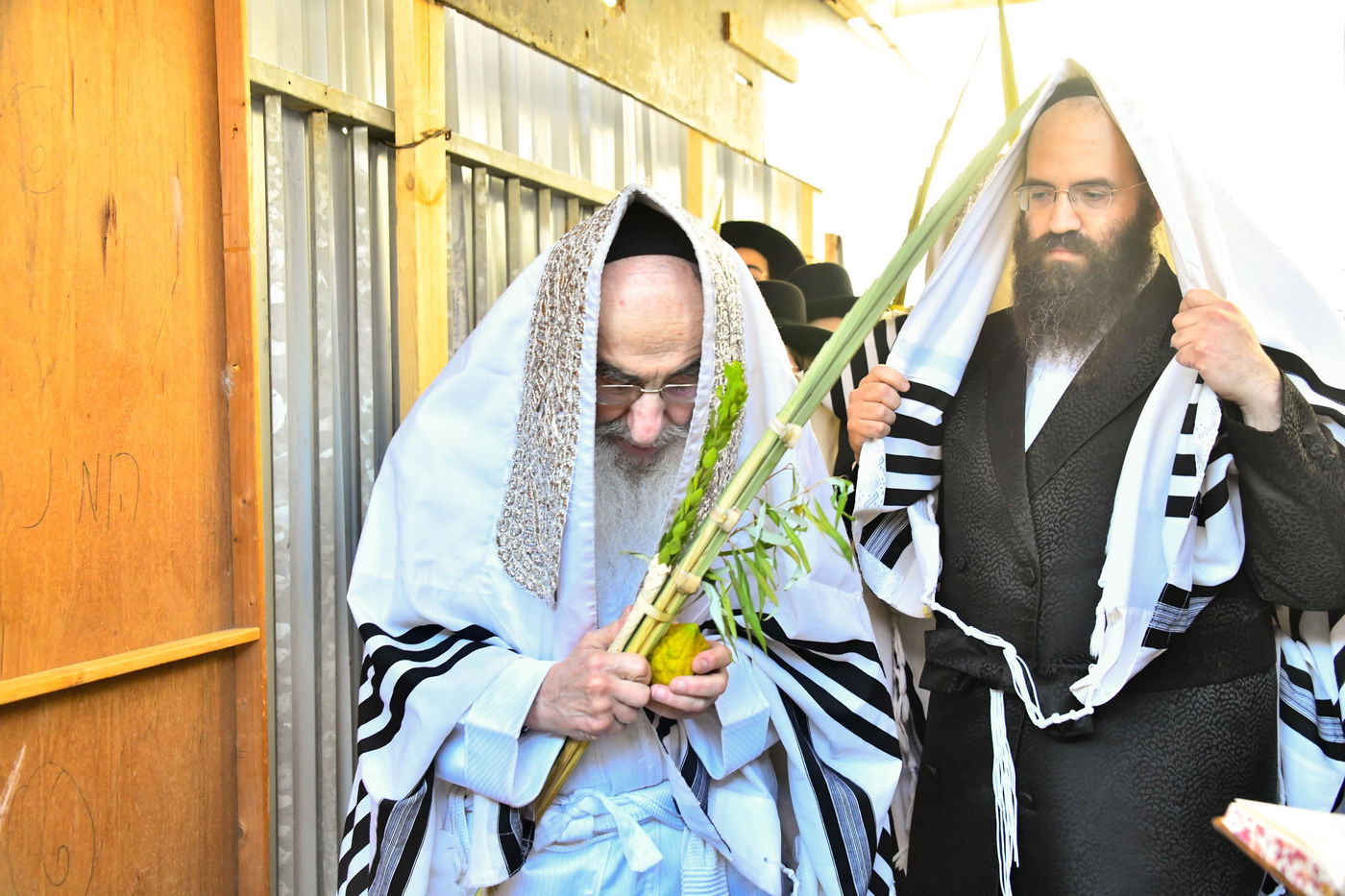 הושענא רבה בחצה"ק אלכסנדר