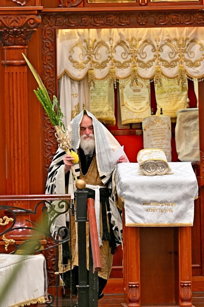 חג הסוכות בחצה"ק ויזניץ