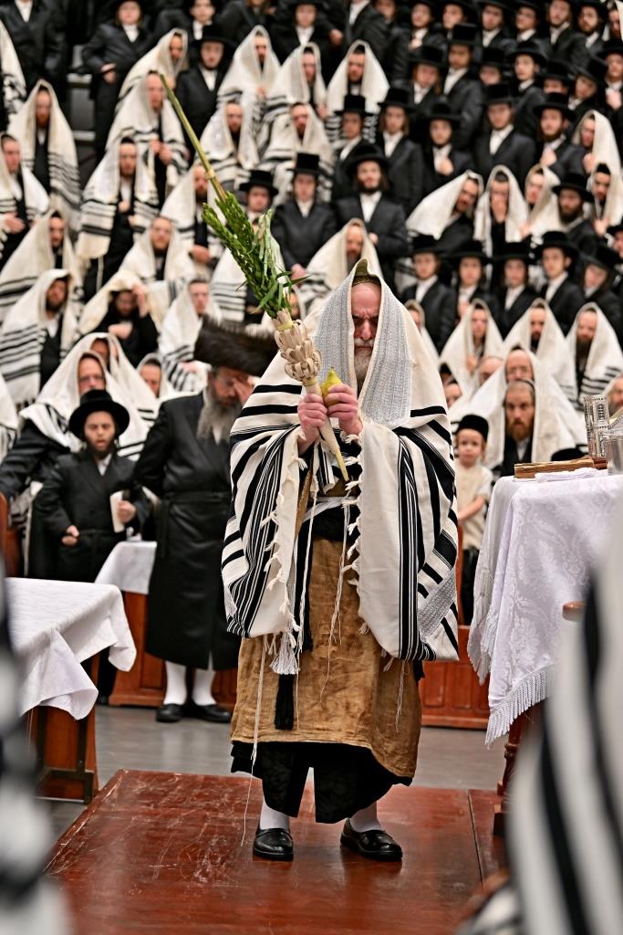 חג הסוכות בחצה"ק ויזניץ
