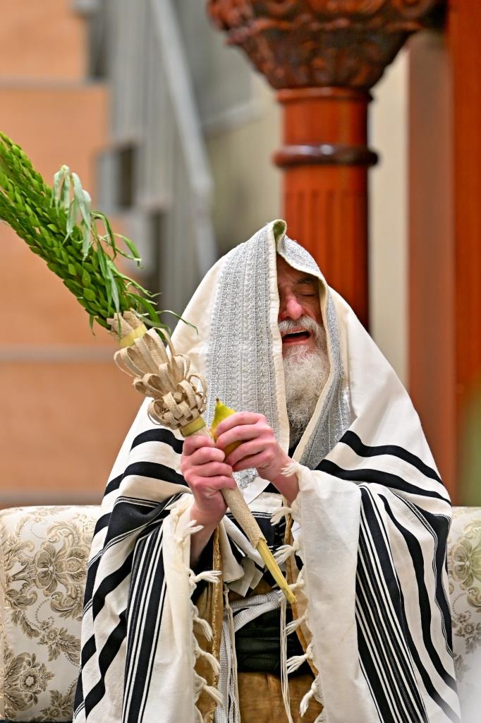 חג הסוכות בחצה"ק ויזניץ