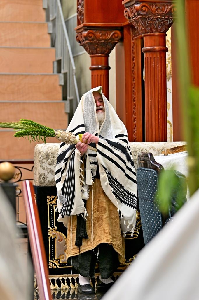 חג הסוכות בחצה"ק ויזניץ