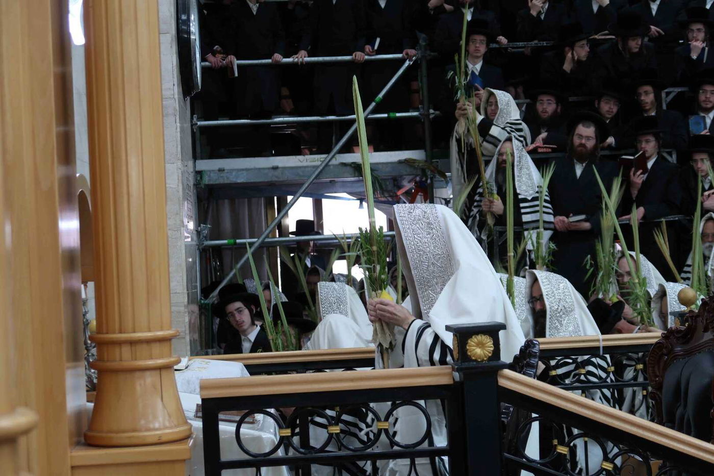 הושענא רבה בחצה"ק סערט ויז'ניץ