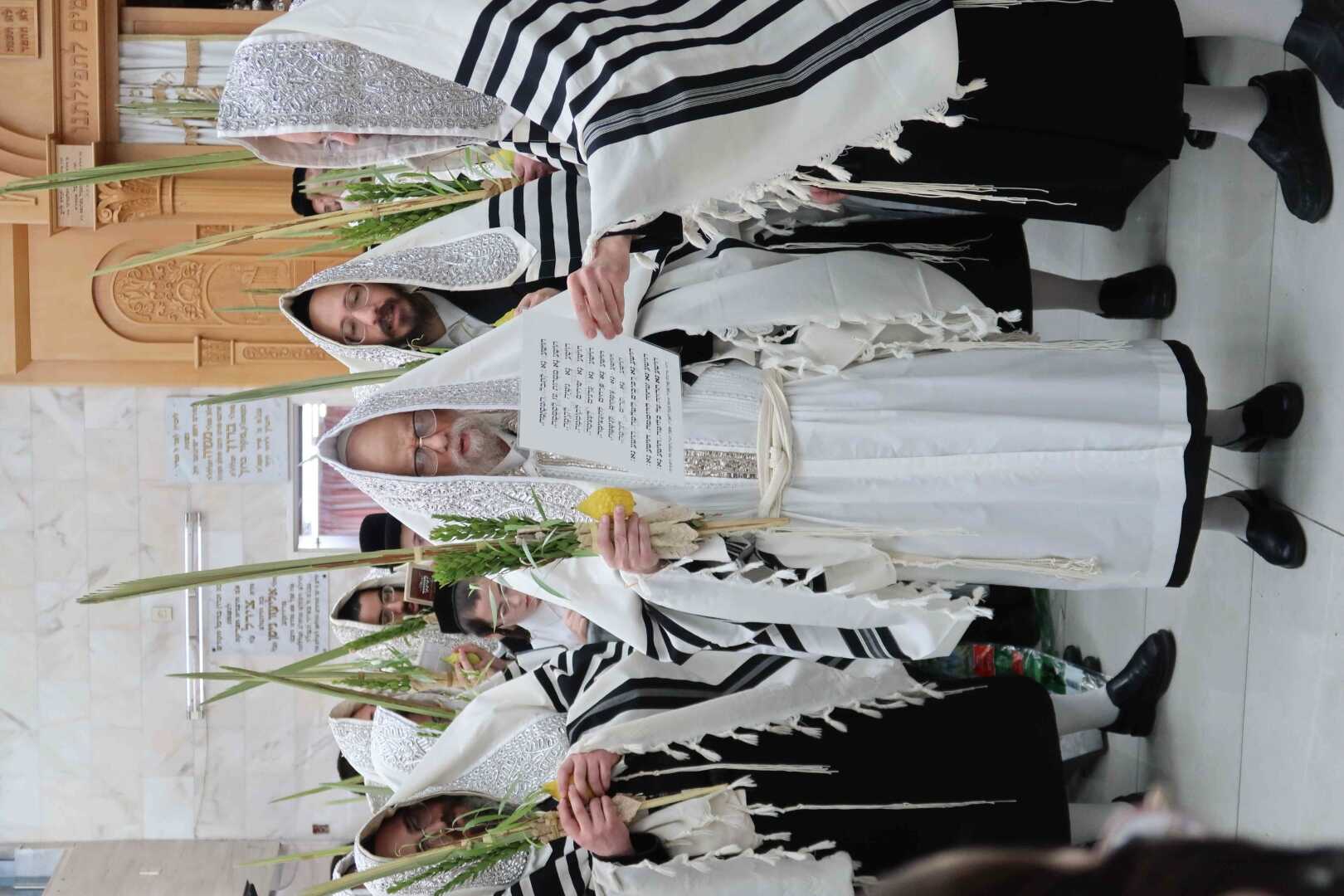 הושענא רבה בחצה"ק סערט ויז'ניץ