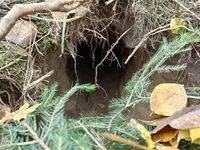 פתח המנהרה שנמצא