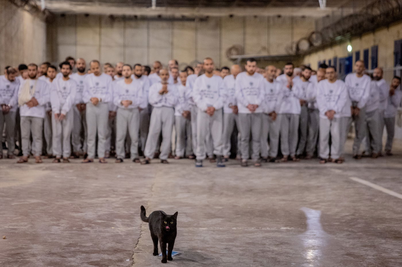 האסירים הביטחוניים בכלא קציעות