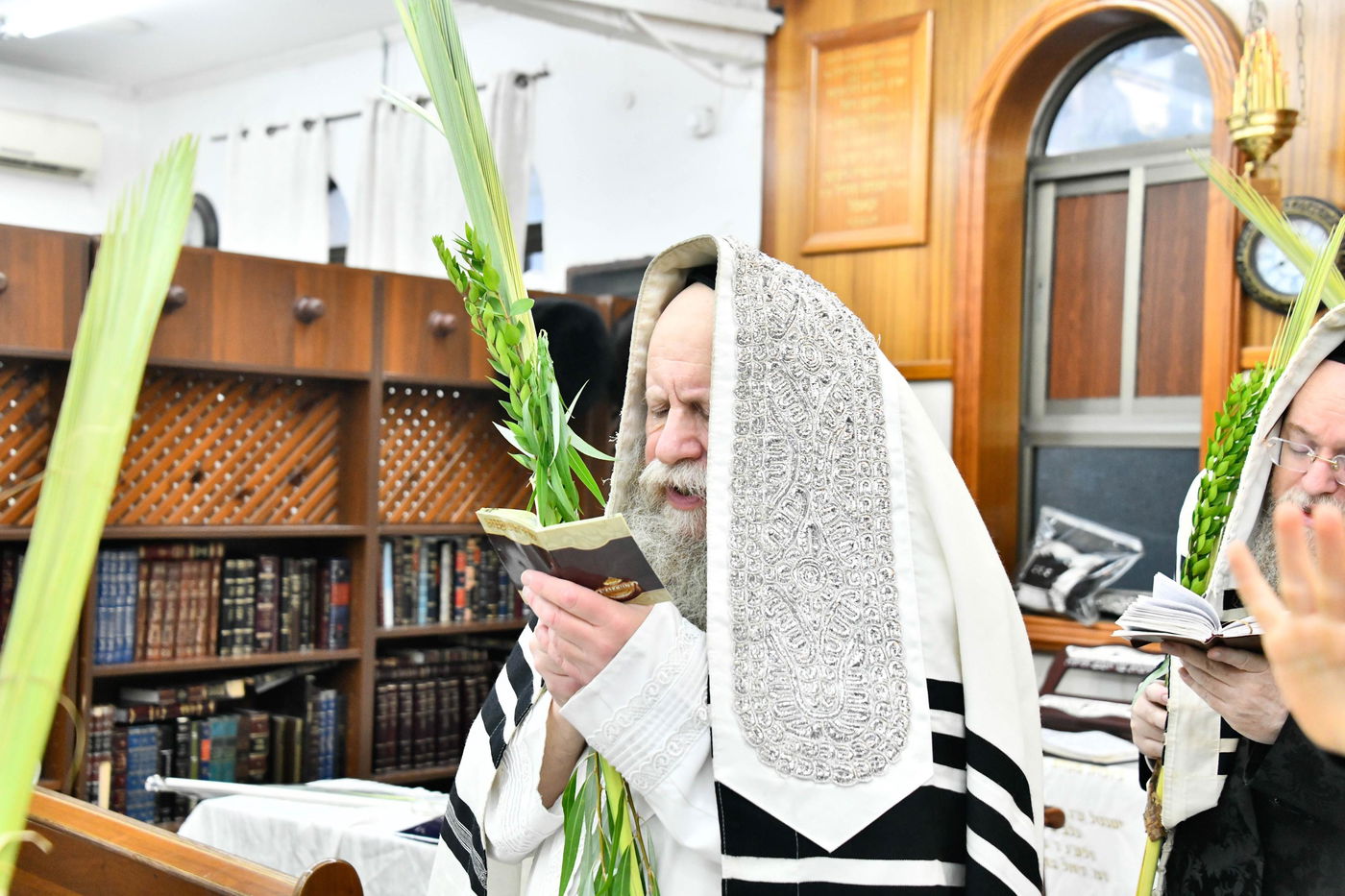 הושענא רבה בחצה"ק קוזמיר