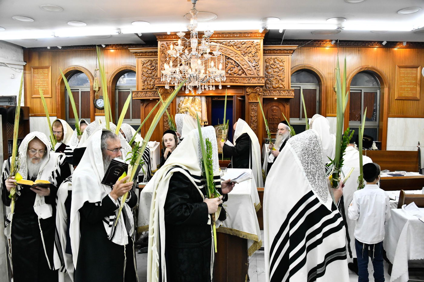 הושענא רבה בחצה"ק קוזמיר