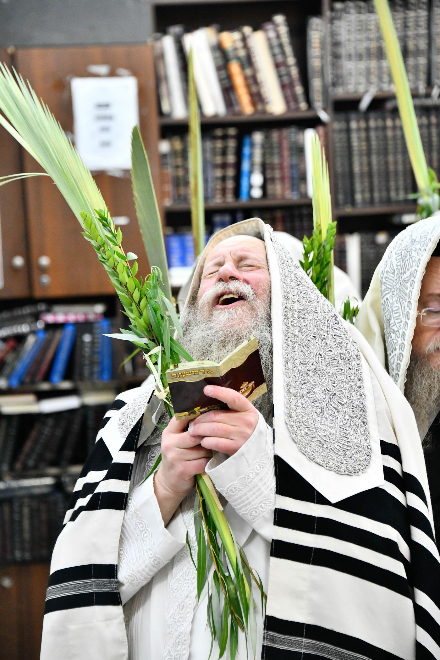 הושענא רבה בחצה"ק קוזמיר