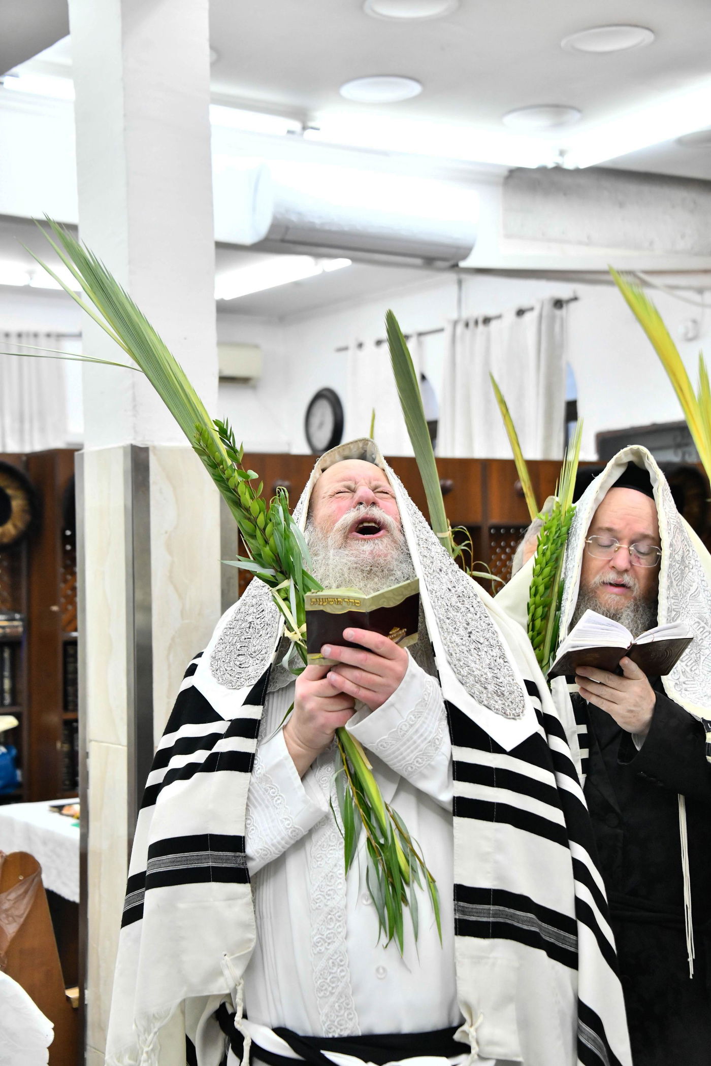 הושענא רבה בחצה"ק קוזמיר