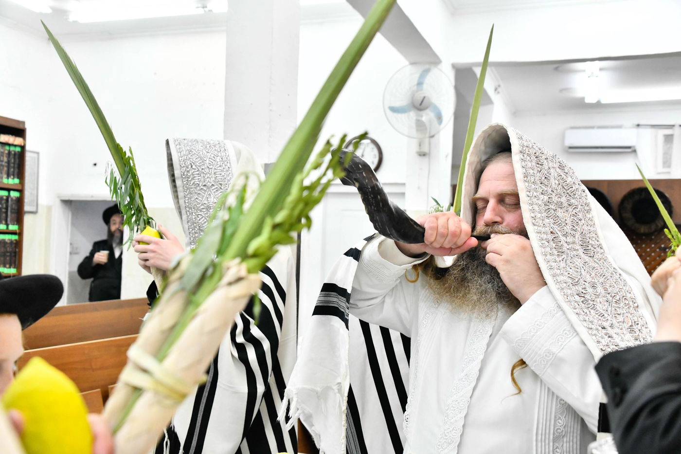 הושענא רבה בחצה"ק קוזמיר