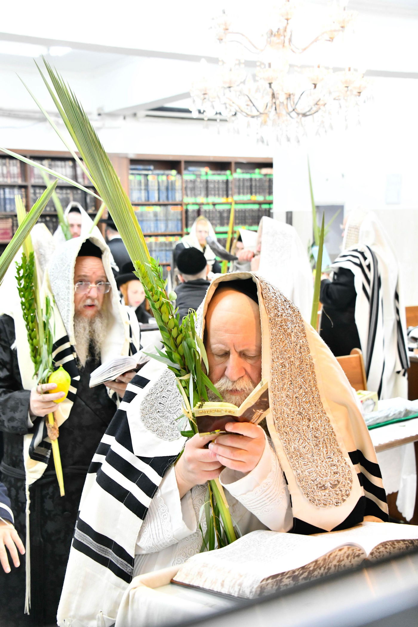 הושענא רבה בחצה"ק קוזמיר