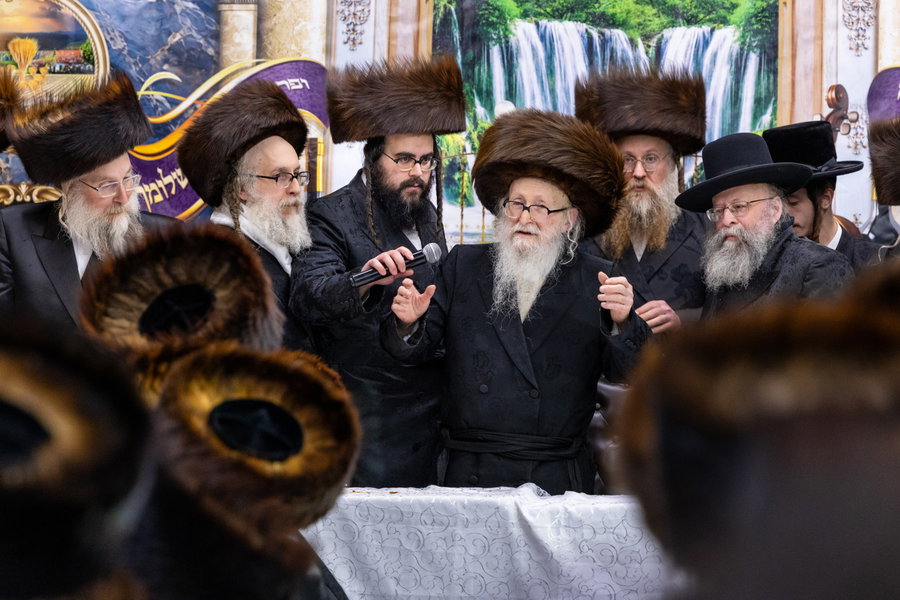 חג הסוכות בצל האדמו"ר מסערדאהעלי
