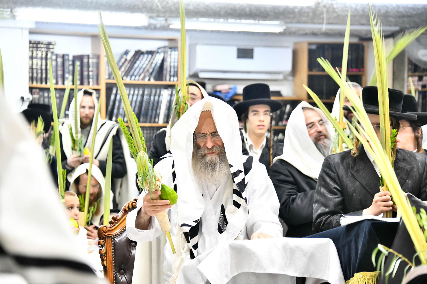 הושענא רבה אצל הגה"צ רבי אלימלך בידרמן