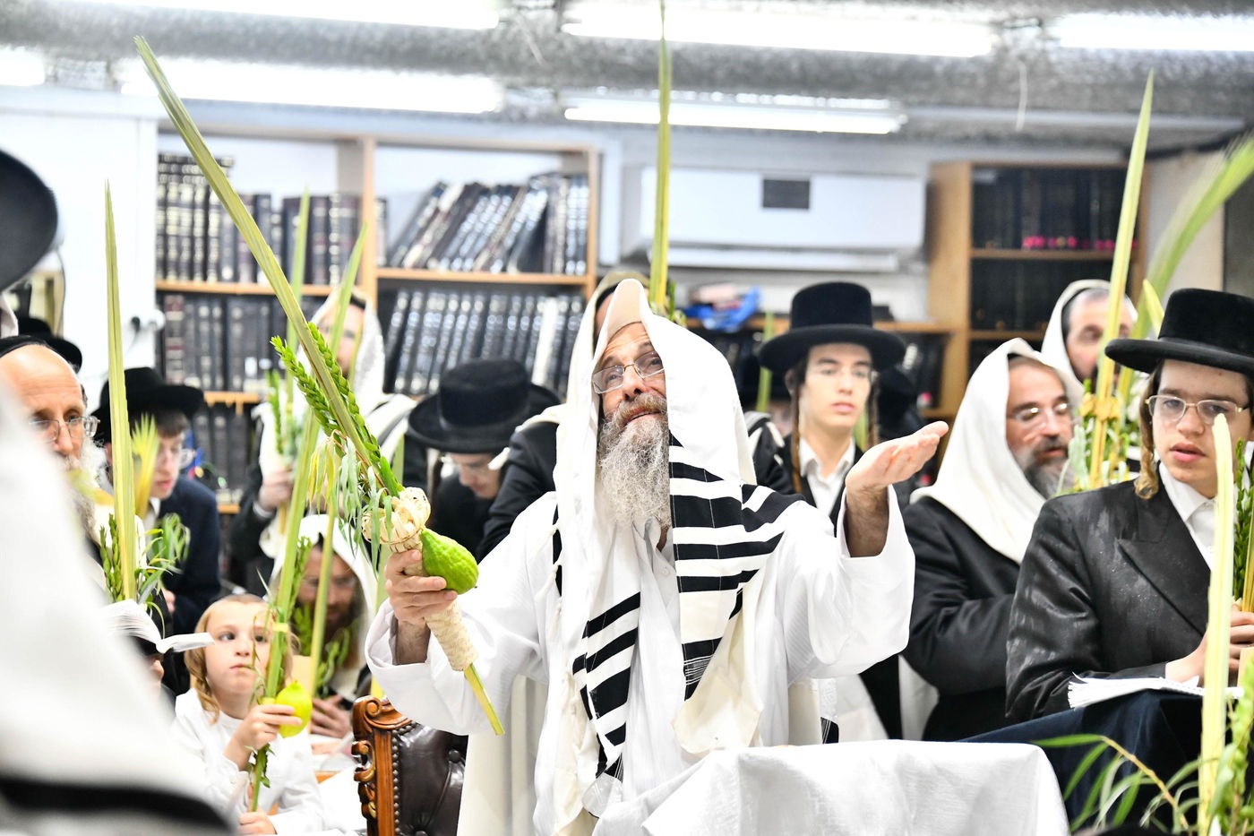 הושענא רבה אצל הגה"צ רבי אלימלך בידרמן