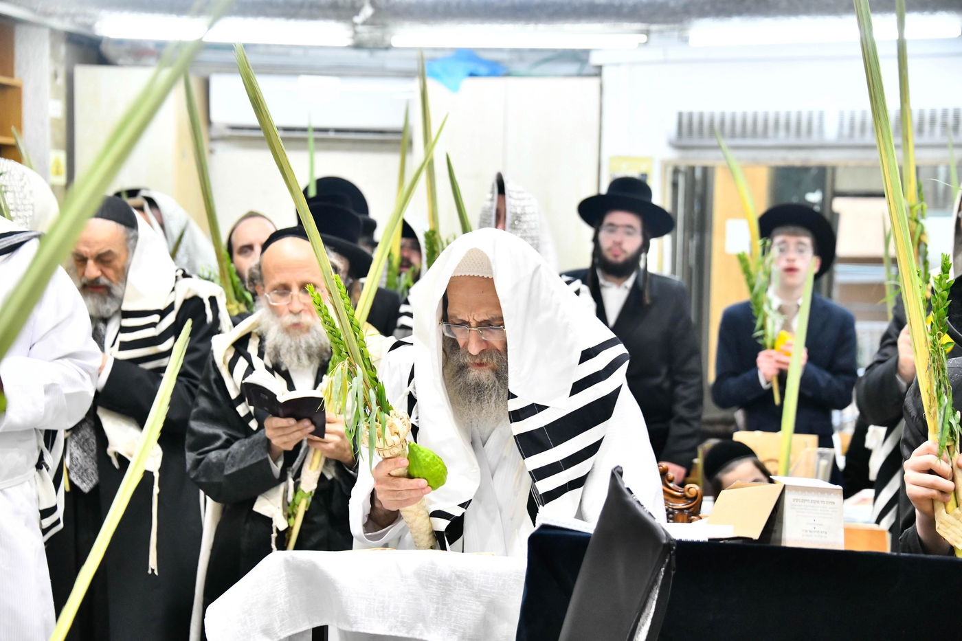 הושענא רבה אצל הגה"צ רבי אלימלך בידרמן