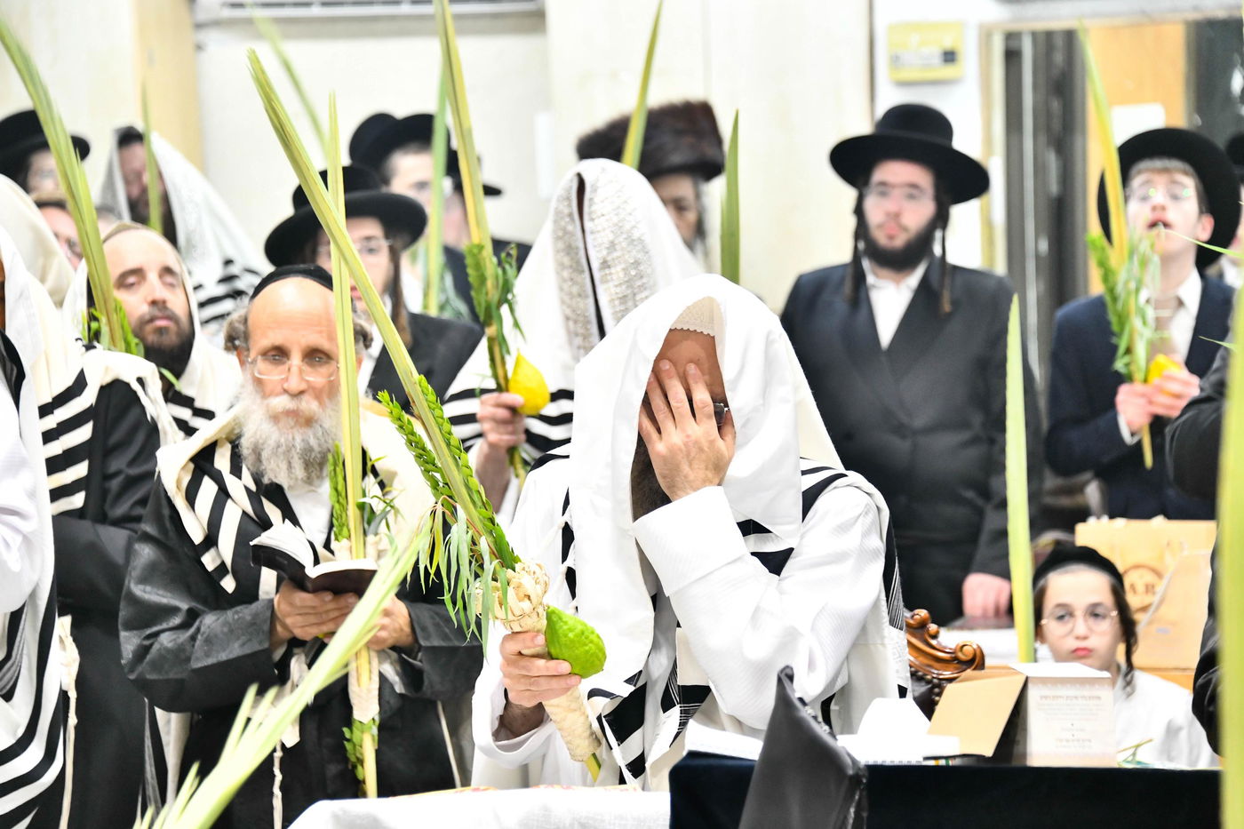 הושענא רבה אצל הגה"צ רבי אלימלך בידרמן