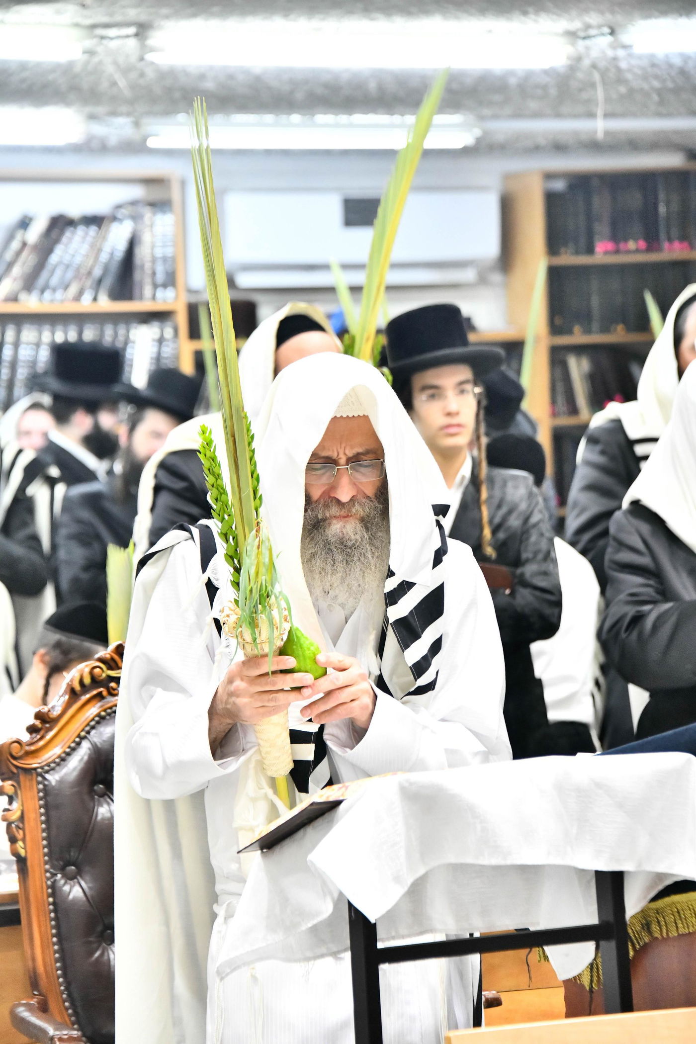 הושענא רבה אצל הגה"צ רבי אלימלך בידרמן