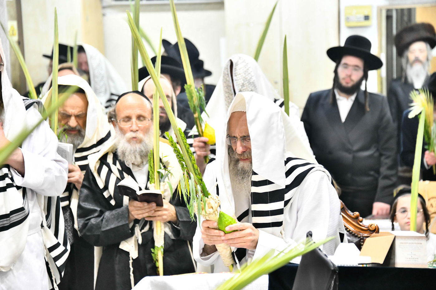הושענא רבה אצל הגה"צ רבי אלימלך בידרמן
