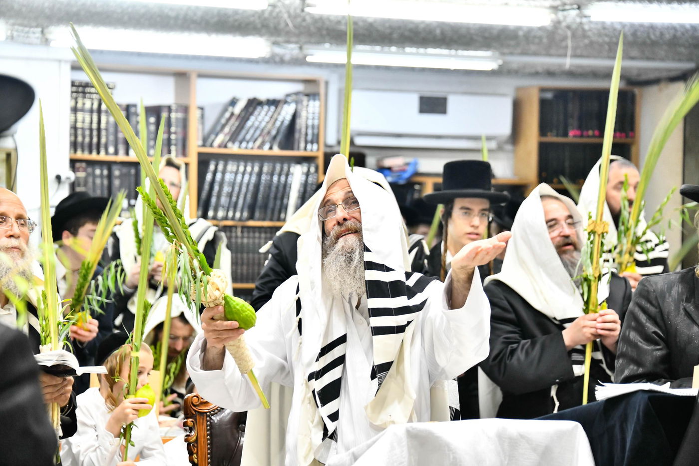 הושענא רבה אצל הגה"צ רבי אלימלך בידרמן