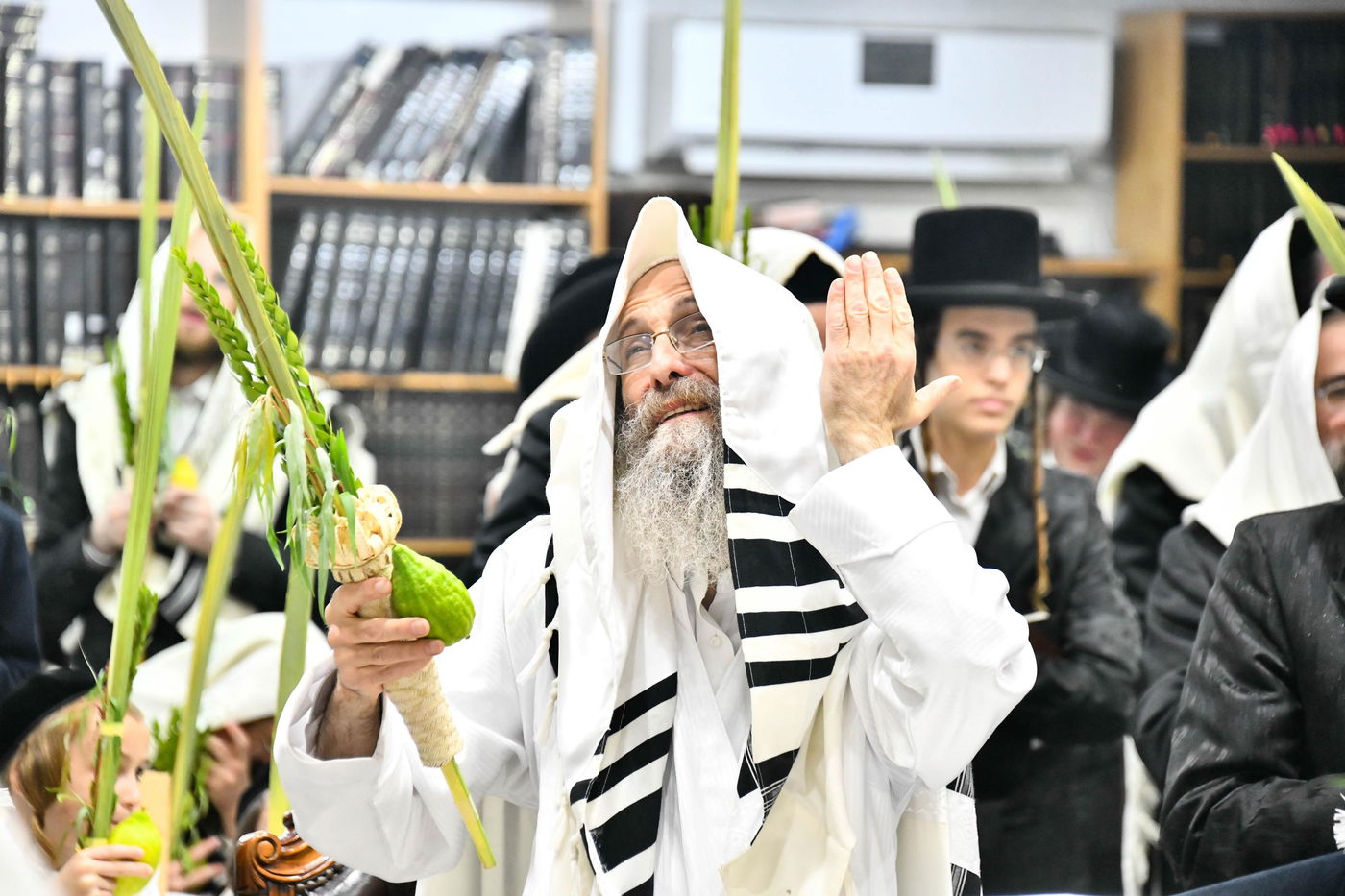 הושענא רבה אצל הגה"צ רבי אלימלך בידרמן