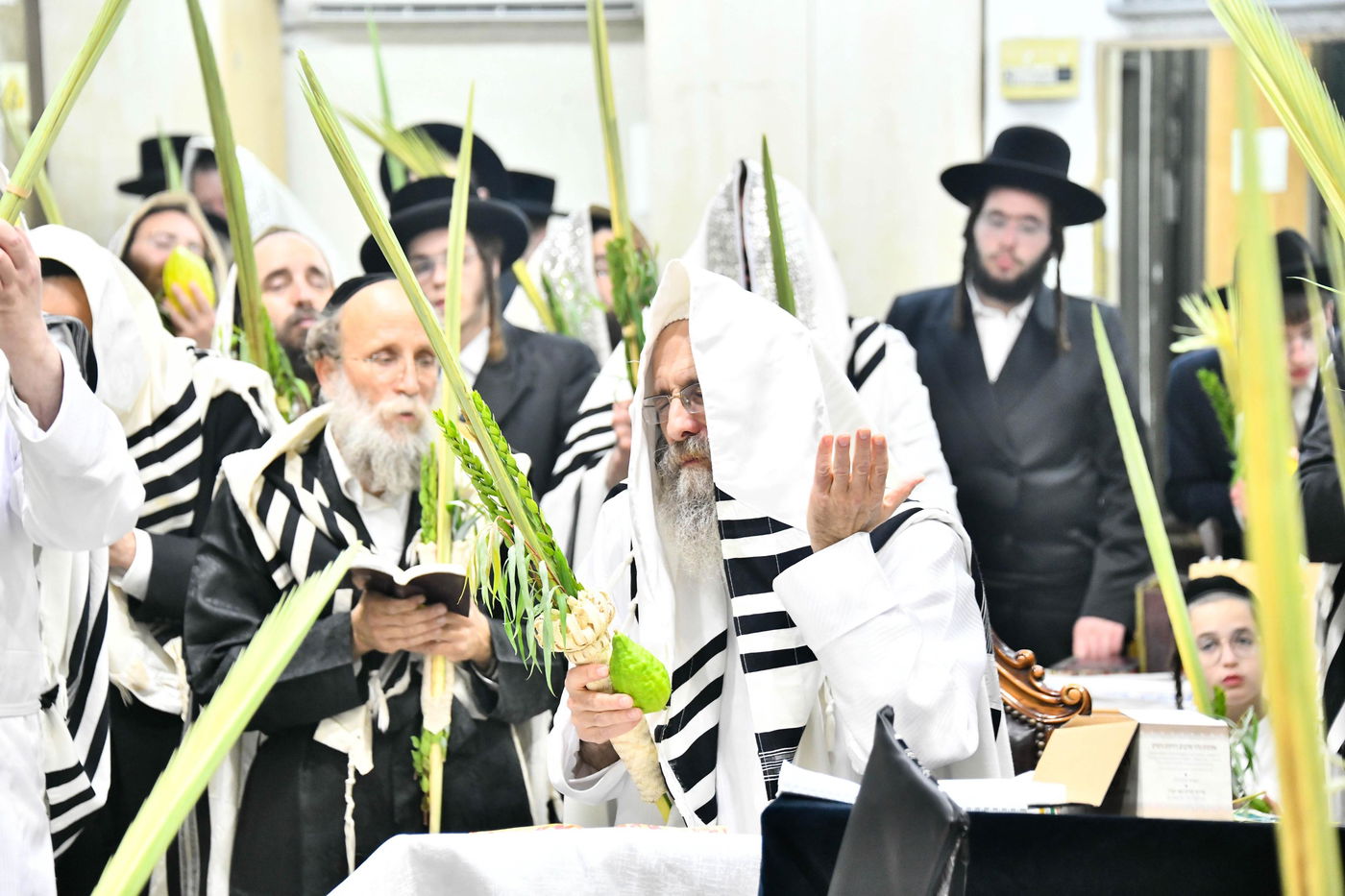 הושענא רבה אצל הגה"צ רבי אלימלך בידרמן