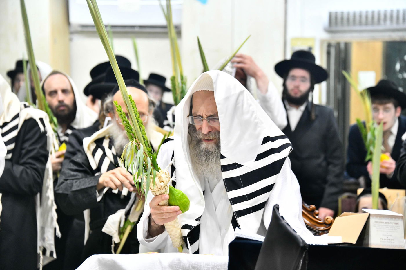 הושענא רבה אצל הגה"צ רבי אלימלך בידרמן