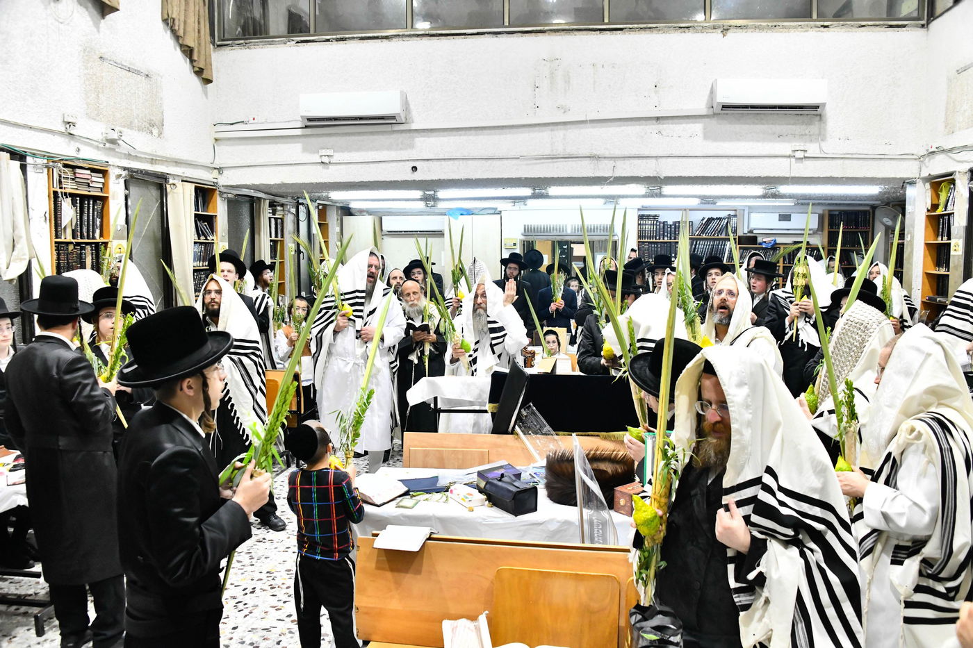 הושענא רבה אצל הגה"צ רבי אלימלך בידרמן