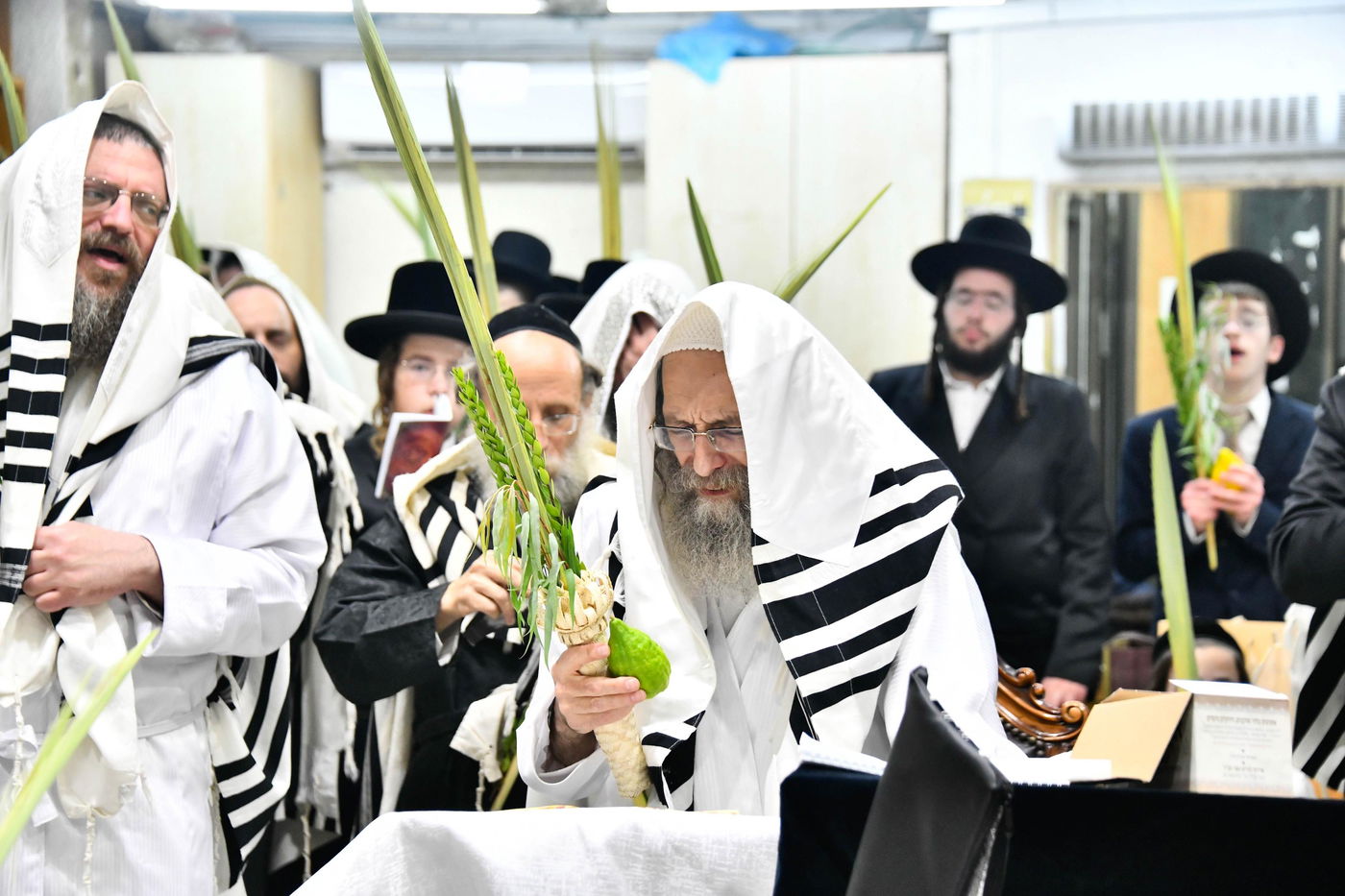 הושענא רבה אצל הגה"צ רבי אלימלך בידרמן