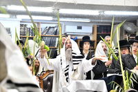 הושענא רבה אצל הגה"צ רבי אלימלך בידרמן