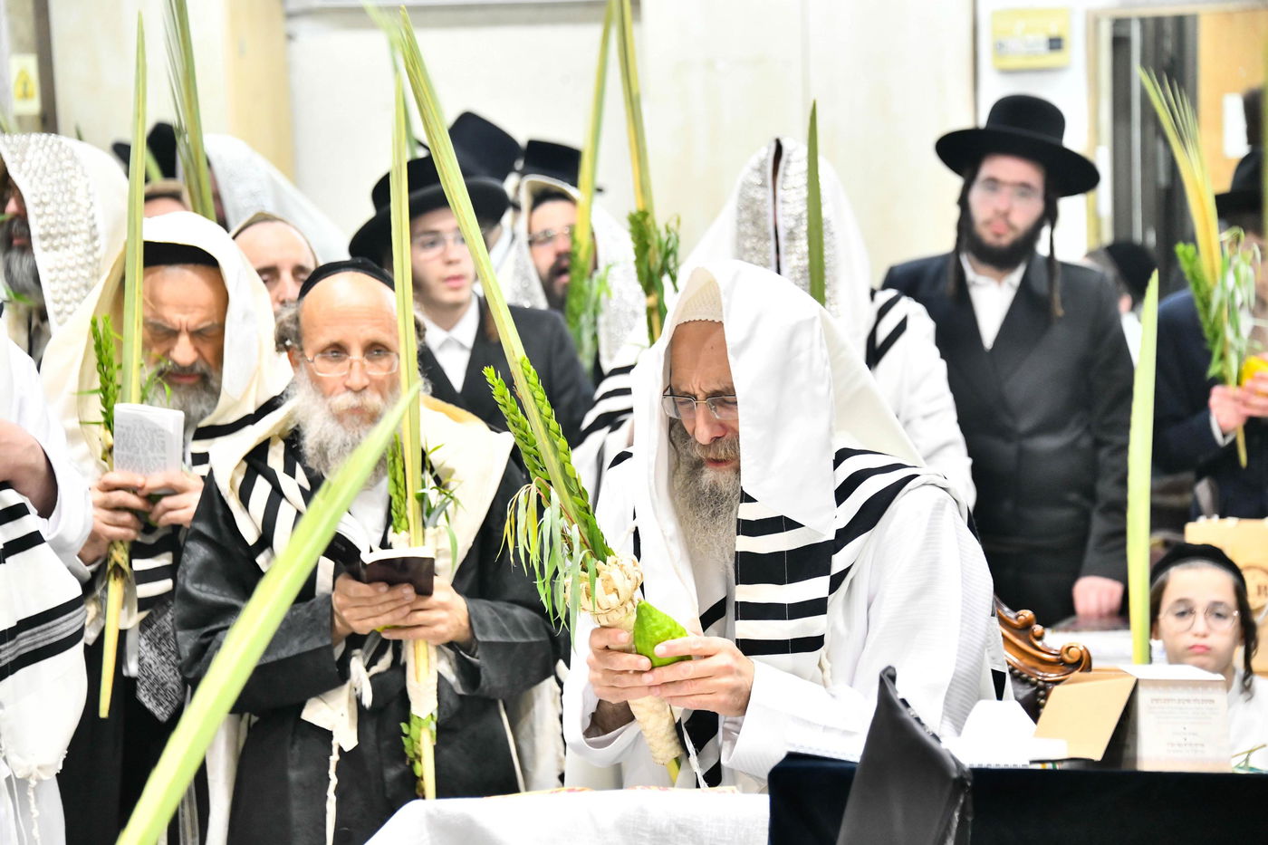 הושענא רבה אצל הגה"צ רבי אלימלך בידרמן