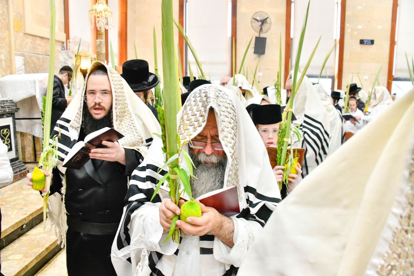 הושענא רבה בחצה"ק שבט הלוי