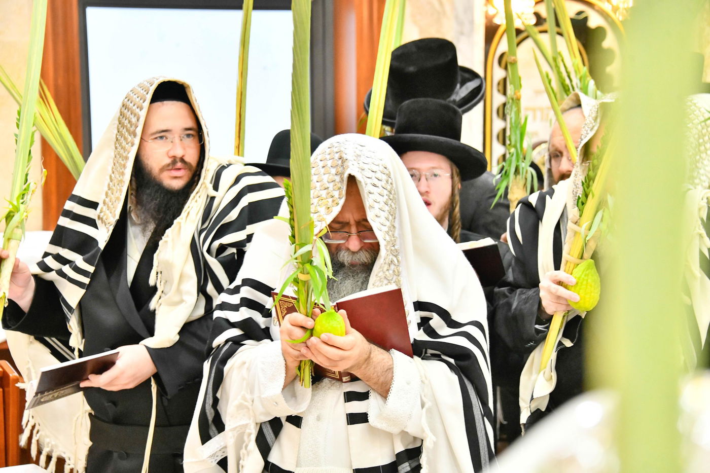 הושענא רבה בחצה"ק שבט הלוי