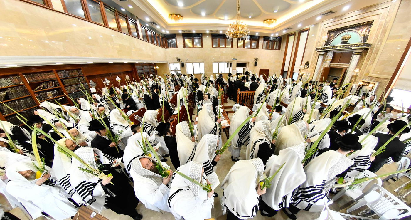 הושענא רבה בחצה"ק שבט הלוי